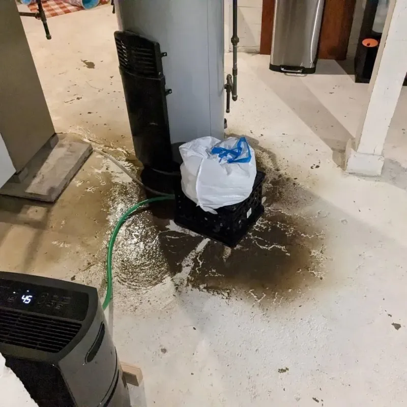 Sewage Backup Cleanup Service in Paullina, IA